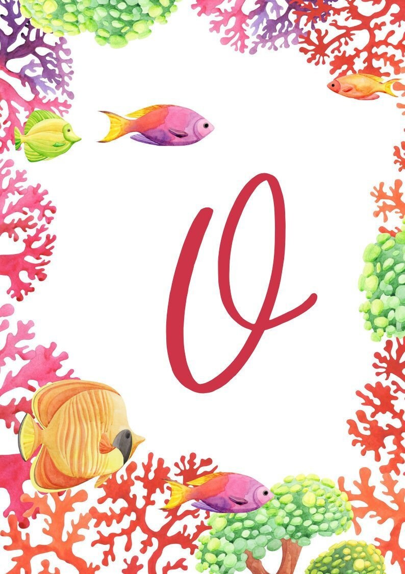 all 26 alphabet letters wall print tropical fish a4 size etsy