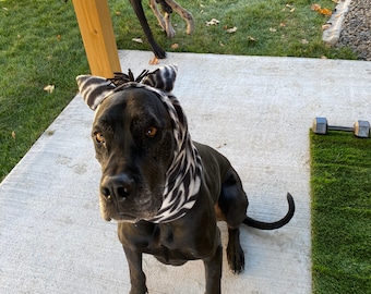NEW Zebra Dog Halloween Costume XS SMALL MEDIUM LARGE no tags