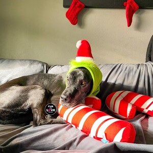 Grinch Dog Costume Etsy UK