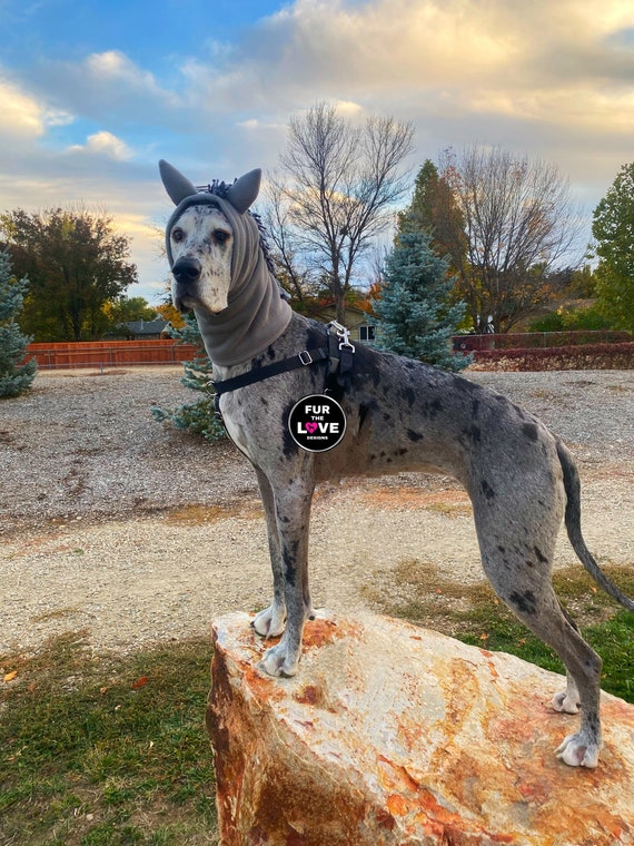 Great dane unicorn costume online