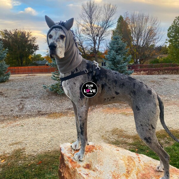 Costume for Horse Etsy