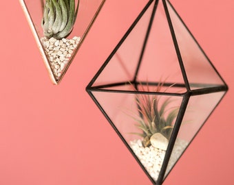 Luftplanzen hänger aus Glas, Sukkulente Kaktus Gartenständer Halter,  Aufhänger Luftpflanzen, valentines day gift
