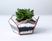 Minimalist Glass Bowl, Candle holder or Flower Pot bowl of Glass, heart stuck wedding, Terrarium Cactus