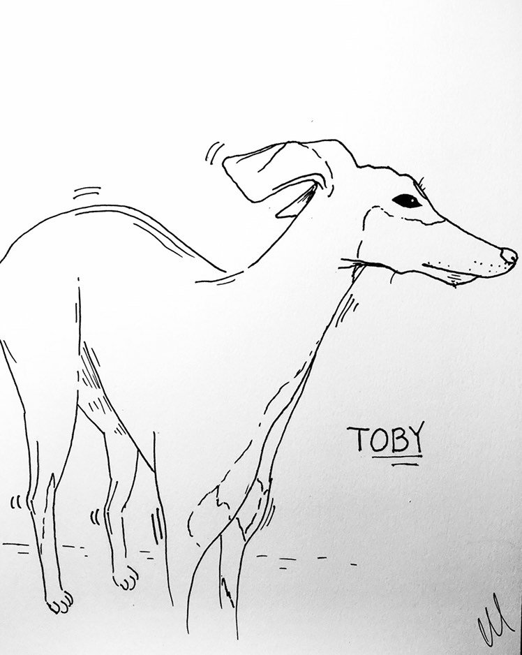 Personalized Line Pet Drawing Artwork - Etsy