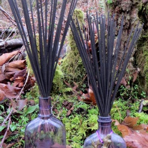 Incense Lucky Clover Fresh Hand Dipped Charcoal 20 Sticks Home Fragrance Handmade Gift Spring Entertaining Holidays Relaxation