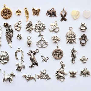 Puede incluir: Una colecci&oacute;n de colgantes de plata y oro con varios s&iacute;mbolos, animales y dise&ntilde;os. Los colgantes incluyen una flor de loto, un &aacute;rbol, una herradura, una mariposa, una tortuga, un caballito de mar, un conejo, una abeja, una nota musical, una mano de F&aacute;tima, una cara de Buda, un s&iacute;mbolo Om, y m&aacute;s.