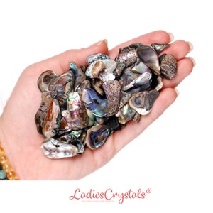 Set of 10 Abalone Shells, Abalone Shell, Shells, Raw Abalone Shell, Raw Nacre Pearl, Мother Of Pearl, White Pearl, Nacre Pearl, Pearls