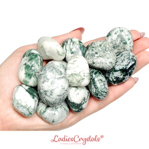 Dendritic Agate Tumbled Stone, Dendritic Agate, Tumbled Stones, Crystals, Stones, Gifts, Rocks, Gems, Gemstones, Zodiac Crystals, Healing