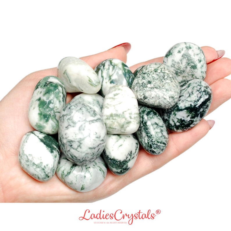 May include: A collection of green and white moss agate tumbled stones. The stones are smooth and polished, with a variety of patterns and swirls.
