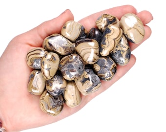 Puede incluir: Una colección de piedras de jaspe cebra pulidas en tonos marrones, negros y blancos. Las piedras son lisas y pulidas, con una variedad de patrones y texturas.