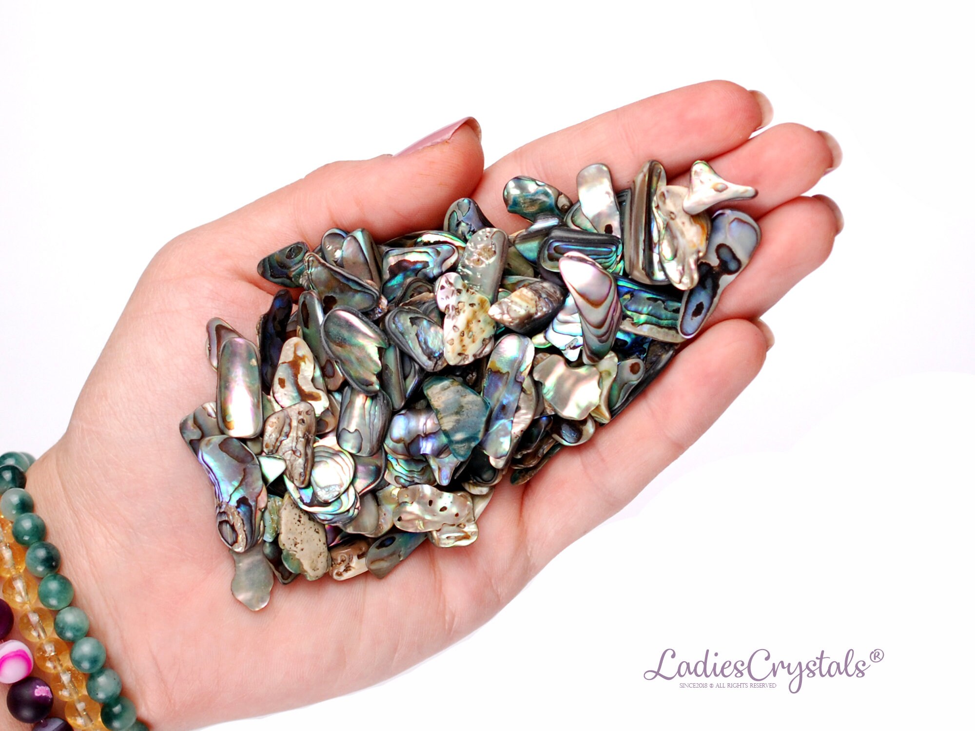 Set of 20 Abalone Shells Abalone Shell Stones Healing Nacre Etsy