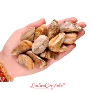 May include: A hand holding a collection of tumbled brown and tan stones with brown and white stripes. The stones are smooth and polished.