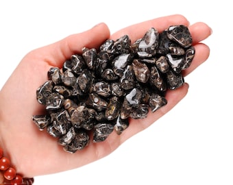Ensemble de 10 pierres roulées en agate turritella, cristal de coquillage fossile, gemme rituelle d'autel