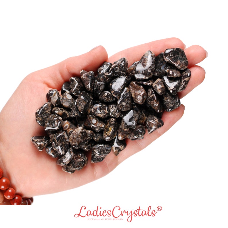 May include: A hand holding a pile of black and brown tumbled stones. The stones have a unique pattern of white and brown swirls.