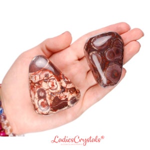 Jasper Tumbled Stone, Jasper, Tumbled Stones, Stones, Rocks, Gifts, Crystals, Gems, Gemstones, Healing Crystals, Zodiac Crystals, Jasper Net