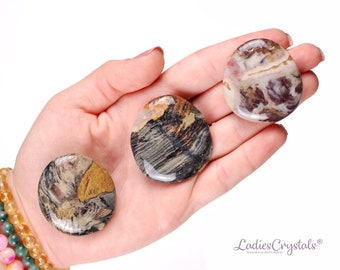 Silver Leaf Jasper Etsy