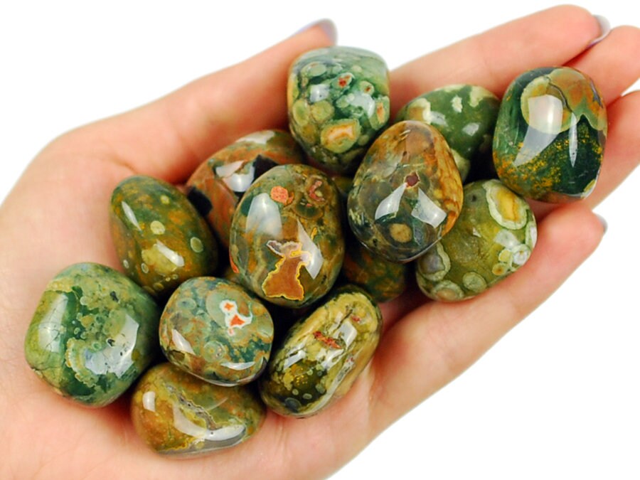 1/2lb Green Rainforest Jasper Crystal Healing Stone Reiki Bulk Tumbled Mineral 1/2lb Green Rainforest Jasper Crystal Healing Stone Reiki Bulk Tumbled Mineral