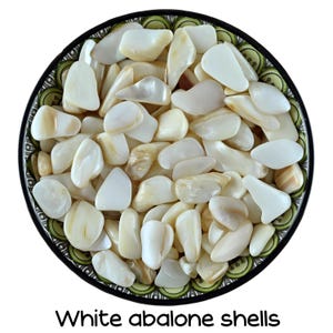 Könnte beinhalten: Eine Schale gefüllt mit weißen Abalone-Muscheln. Die Muscheln sind glatt und schimmernd, mit einem leichten Perlmuttglanz.