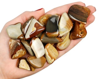 May include: A collection of tumbled petrified wood stones in various shades of brown, white, and grey. The stones are smooth and polished, with intricate patterns and textures.