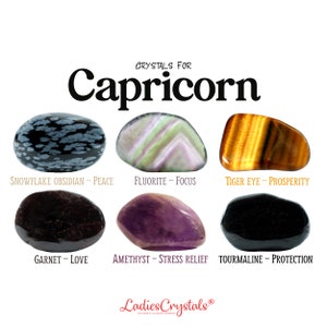 Capricorn Crystals Set, Capricorn Stones, Zodiac Stones, Snowflake Obsidian, Fluorite, Tiger Eye, Garnet, Amethyst, Black Tourmaline, Gifts