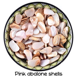 Könnte beinhalten: Draufsicht auf eine dekorative Schale gefüllt mit polierten rosa Abalone-Muscheln. Die Muscheln variieren in der Farbe von Weiß bis Hellbraun und Rosa. Die Schale hat einen schwarzen Rand und einen grün-gelben gemusterten Rand. Der Text "Pink abalone shells" steht unten.
