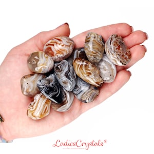 May include: A collection of tumbled agate stones with brown, white, and gray banding. The stones are smooth and polished, and they have a natural, organic look.