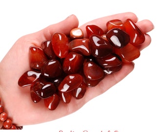 May include: A close-up of a hand holding a pile of red carnelian tumbled stones. The stones are smooth and polished, with a deep red color.