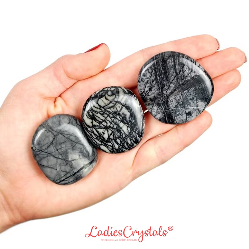 May include: Three polished, rounded stones featuring a grey and black spiderweb-like pattern. The stones have a smooth, glossy surface with intricate dark veining throughout. The text LadiesCrystals is printed in red at the bottom of the image.