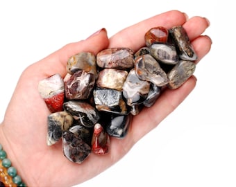 Silver Leaf Jasper Tumbled Stone, Gift For Crystal Lovers, Natural Gray Black Patterned Gemstone