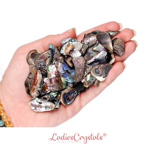 May include: A handful of iridescent abalone shell pieces in various shapes and sizes. The shells have a mix of green, blue, purple, and brown colors.