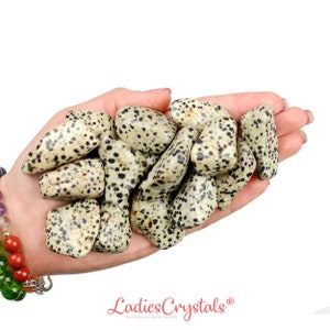 Dalmatian Jasper Tumbled Stone, Dalmatian Jasper, Tumbled Stones, Jasper, Crystals, Stones, Gifts, Rocks, Gems, Gemstones, Zodiac Crystals