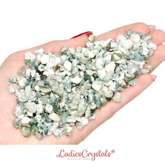 Dendritic Agate Chip Stones, Polished Tree Agate Mini Crystals, Nature Inspired Vase Filler
