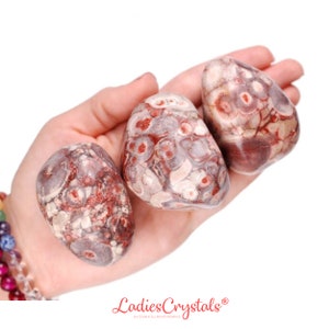 Jasper Tumbled Stone, Jasper, Tumbled Stones, Stones, Crystals, Rocks, Gifts, Gemstones, Gems, Zodiac Crystals, Healing Crystals, Favors