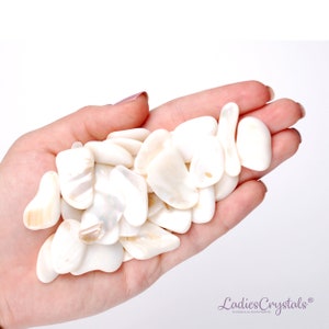 White Mother Of Pearl, White Abalone Shell, Abalone Shells, Abalone Shell, Shells, Raw Abalone Shell, Raw Nacre Pearl, Мother Of Pearl