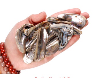 XL Abalone Shell, Sacred Smudging Bowl, Iridescent Altar Offering