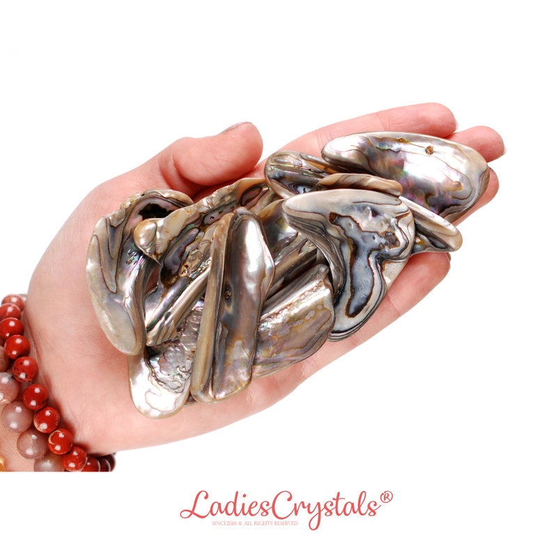 May include: A handful of iridescent abalone shells, showcasing a spectrum of colors including silver, gray, and hints of blue and green. The shells have a smooth, pearlescent finish. A red and brown beaded bracelet is visible in the background. The image is set against a white background.
