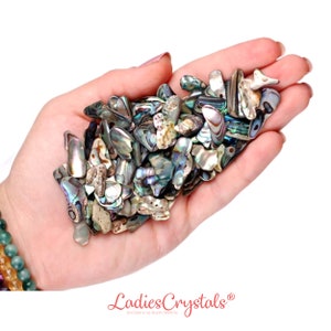 Set mit 10 Abalone-Muscheln, Abalone-Muschel, Muscheln, rohe Abalone-Muschel, rohe Perlmuttperle, Perlmuttperle, weiße Perle, Perlmuttperle, Perlen