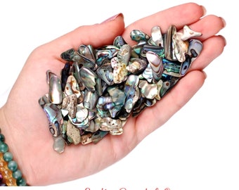 Set Of 10 Abalone Shells, Bulk Natural Smudge Bowls, Ocean Altar Ritual Decor