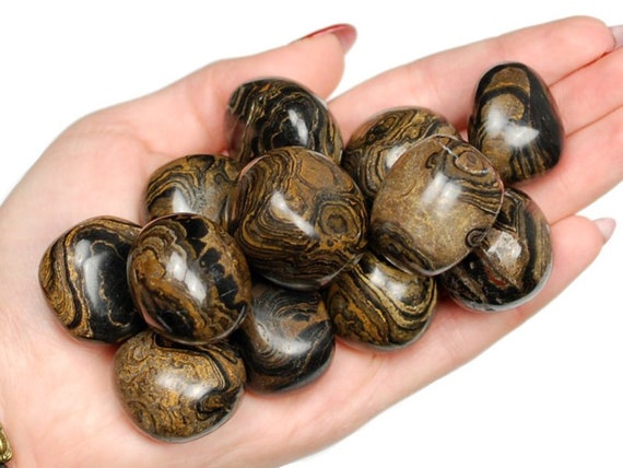 Stromatolite Tumbled Stone