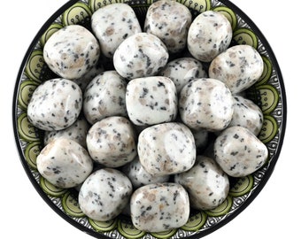 May include: A bowl filled with smooth, white kiwi jasper tumbled stones. The stones have a speckled pattern of black and brown. The bowl has a green and black patterned design.