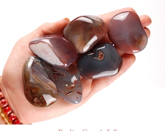 Puede incluir: Una colección de seis piedras de ágata pulidas en tonos marrones, grises y blancos. Las piedras son lisas y pulidas, con una variedad de patrones y texturas.