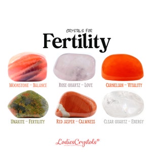 Fertility Crystals Set, Fertility Crystals, Moonstone, Rose Quartz, Carnelian, Unakite, Red Jasper, Clear Quartz, Healing Crystals, Gifts