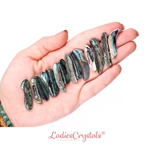 Könnte beinhalten: Eine Hand hält eine Sammlung schillernder Abalone-Muschelteile, die Blau-, Grün- und Silbertöne zeigen. Die Muscheln sind länglich und unregelmäßig geformt, mit einer natürlichen, strukturierten Oberfläche. Der Text "Ladies Crystals" ist enthalten.