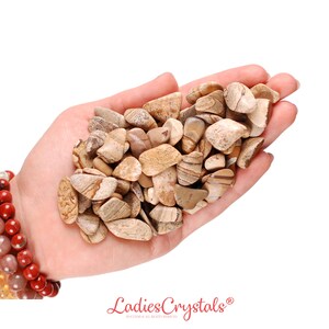 Set Of 10 Picture Jasper Tumbled Stones, Picture Jasper, Tumbled Stones, Jasper, Stones, Crystals, Rocks, Gifts, Gemstones, Zodiac Crystals