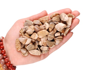 Picture Jasper Tumbled Stones, Earth Wisdom, Ritual Supplies, Healing Gemstones