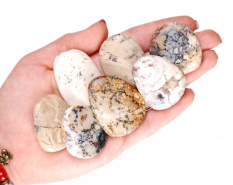 May include: A collection of six smooth, oval-shaped stones in various shades of white, brown, and gray. The stones have a marbled pattern and are held in a hand.