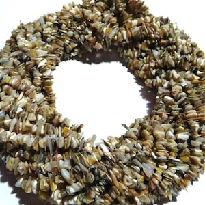 May include: A circular strand of small, irregularly shaped beads. The beads are a mix of neutral colors, including beige, brown, and off-white, with some hints of yellow and green. The beads are tightly strung together, forming a continuous loop.