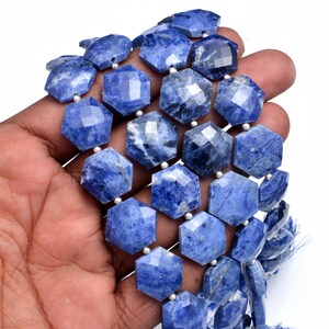 May include: A strand of faceted, hexagonal-shaped blue sodalite beads. Each bead features a unique mottled pattern of deep navy and lighter blue tones with white inclusions. The beads are strung together with small silver-colored spacer beads.
