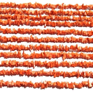 Op de afbeelding: Een streng oranje koraalchips, gerangschikt in rijen op een witte achtergrond. De chips zijn onregelmatig van vorm en grootte, met een ruwe, natuurlijke textuur.