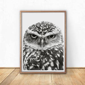Kaffee Eule Eule Zeichnung Susse Eule Eule Cartoon Grosse Etsy